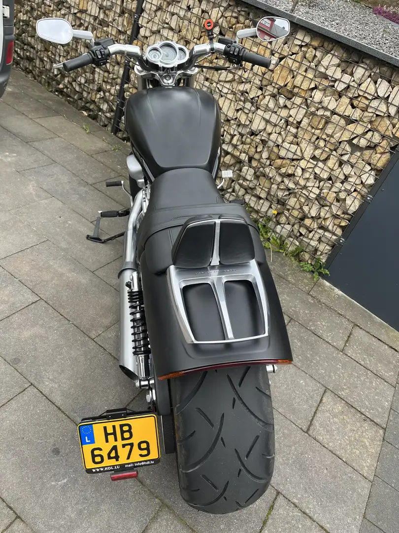 Harley-Davidson VRSC V-Rod - 1
