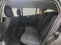 Ford Focus Focus Active SW Active SW 1.5 ecoblue X 115cv auto Grigio - thumbnail 11