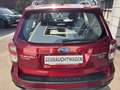Subaru Forester Forester Diesel 2.0D Exclusive Rot - thumbnail 5