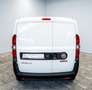 Fiat Doblo Doblò 1.6 SX Kasten Weiß - thumbnail 21