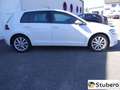 Volkswagen Golf VW Golf VII (7) Highline 1.5 TSI MwSt. Ausweis AC Weiß - thumbnail 3