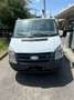 Ford Transit Bus Blanc - thumbnail 7