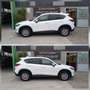 Mazda CX-5 2.2 Evolve 2wd 150cv 6at Per Operatori del Settore Blanc - thumbnail 15