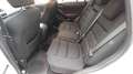 Mazda CX-5 2.2 Evolve 2wd 150cv 6at Per Operatori del Settore Blanc - thumbnail 8