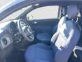 Fiat 500 500 1.0 hybrid Cult 70cv Grigio - thumbnail 11