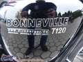 Triumph Bonneville T120 35 KW A2 Drossel=3322,- gespa Чёрный - thumbnail 14