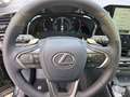 Lexus NX 350h Executive Line FLA HUD ParkAss. SpurH Grijs - thumbnail 14