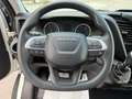 Iveco Daily 35S14 LH2 3520 Wit - thumbnail 9