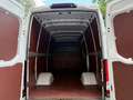 Iveco Daily 35S14 LH2 3520 Wit - thumbnail 5