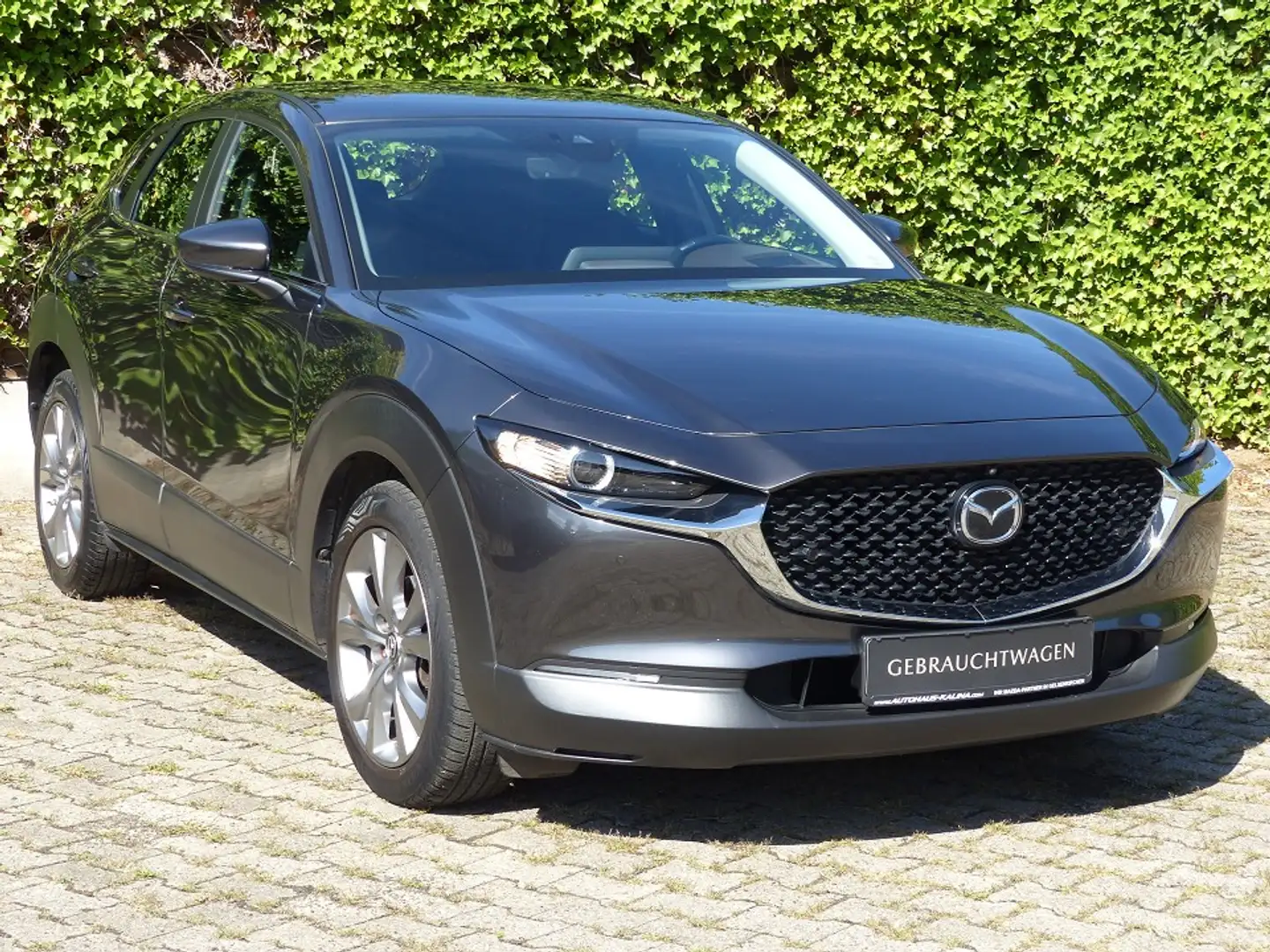Mazda CX-30 SKYACTIV-X 186PS Automatik SELECTION + Premium-P. Gris - 2