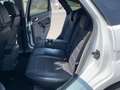 Ford Focus Lim. Titanium Weiß - thumbnail 16