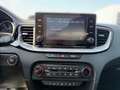 Kia XCeed Xceed 1.6 Plug-in Hybrid Vision, Klima, LED, LM- Grau - thumbnail 13