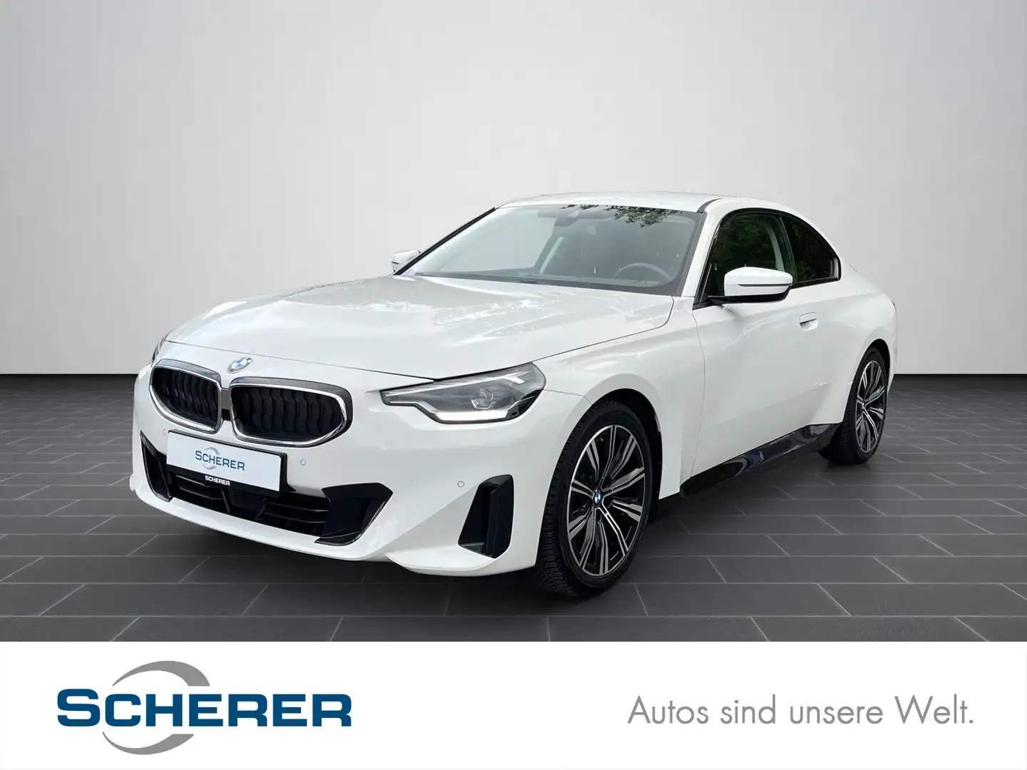 BMW 218 i Coupe 218i Coupe, SHZ, LED, SHADOWLINE, LIV Weiß - 1