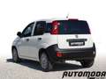 Fiat Panda VAN 1.2 69CV 2Posti Bianco - thumbnail 6