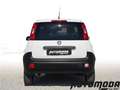 Fiat Panda VAN 1.2 69CV 2Posti Bianco - thumbnail 5