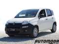 Fiat Panda VAN 1.2 69CV 2Posti Bianco - thumbnail 1