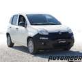 Fiat Panda VAN 1.2 69CV 2Posti Bianco - thumbnail 3