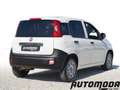 Fiat Panda VAN 1.2 69CV 2Posti Bianco - thumbnail 4