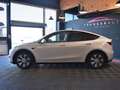 Tesla Model Y MODEL Y Standard RWD Blanc - thumbnail 7