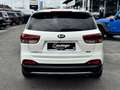 Kia Sorento 2,2 CRDi ISG AWD Österreich Edition Weiß - thumbnail 5