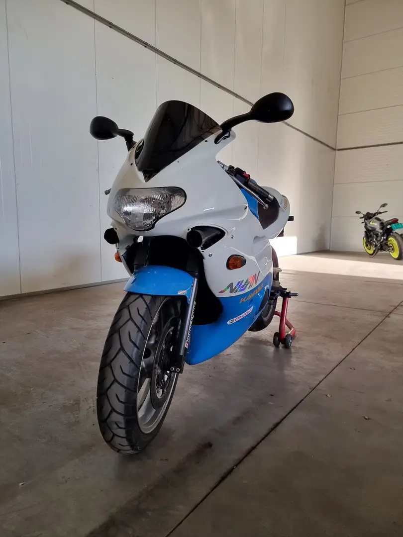 Triumph TT 600 Bleu - 1
