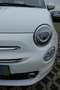Fiat 500 1.2 Collezione PANO NAVI KLIMA PDC ALLWETTER Weiß - thumbnail 8