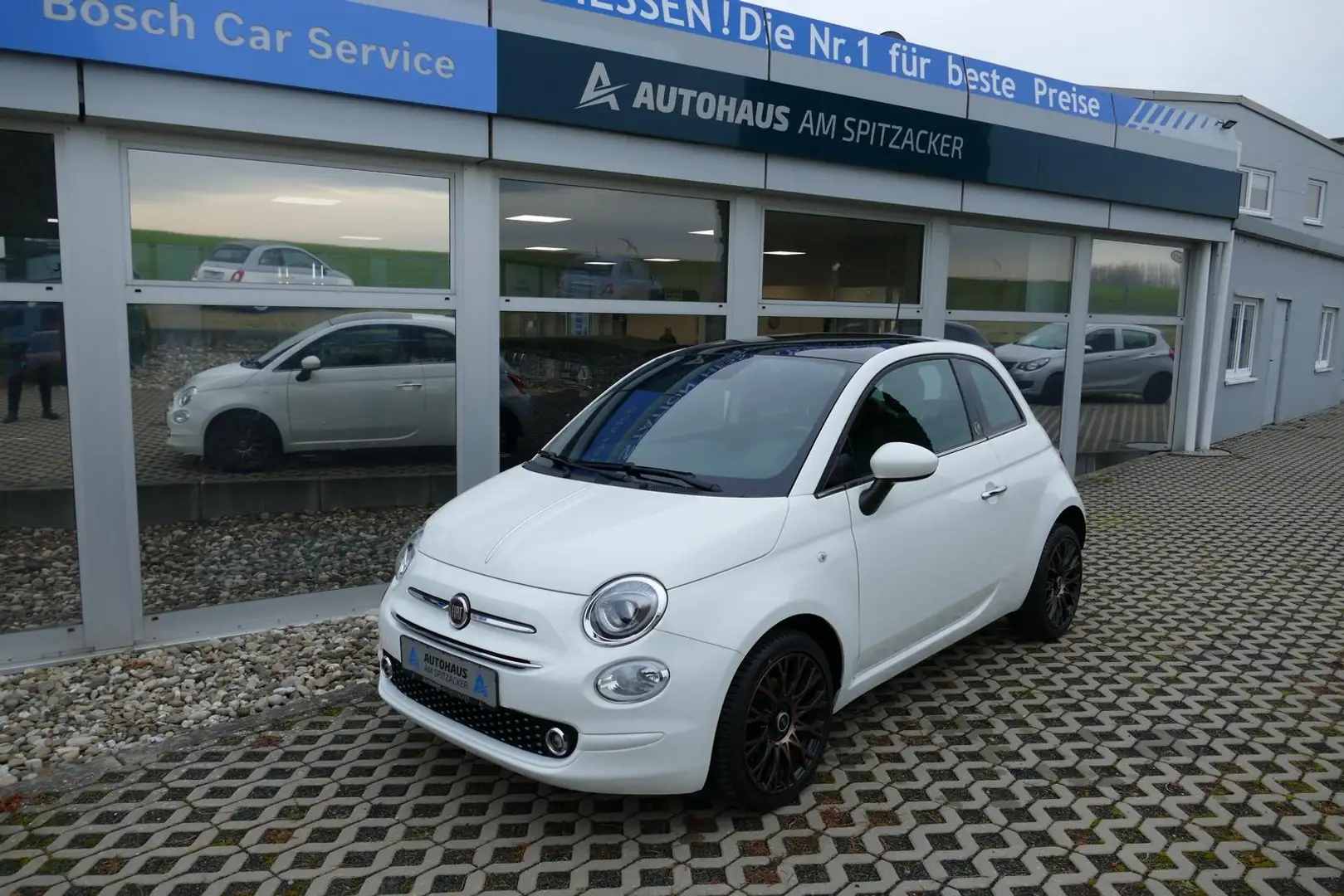 Fiat 500 1.2 Collezione PANO NAVI KLIMA PDC ALLWETTER Weiß - 2