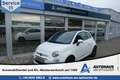 Fiat 500 1.2 Collezione PANO NAVI KLIMA PDC ALLWETTER Weiß - thumbnail 1