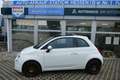 Fiat 500 1.2 Collezione PANO NAVI KLIMA PDC ALLWETTER Weiß - thumbnail 3