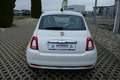 Fiat 500 1.2 Collezione PANO NAVI KLIMA PDC ALLWETTER Weiß - thumbnail 7