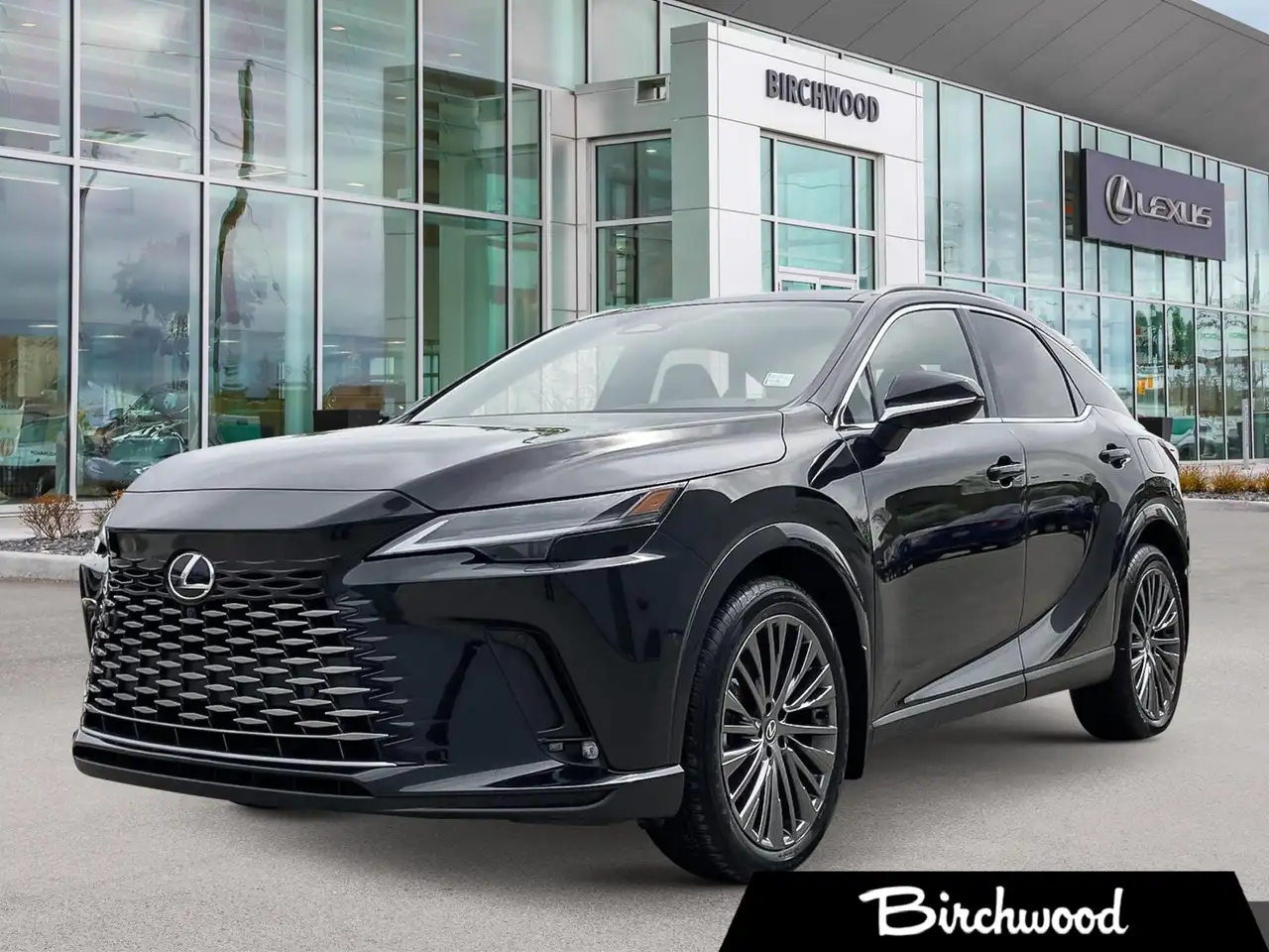 2026 Lexus RX