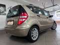 Mercedes-Benz A 170 Edition 10*48TKM*1.Hand*Leder*Lamellendach Beige - thumbnail 3