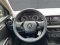 Skoda Fabia 1.0 MPI ACTIVE LED+APP+SHZ+PDC+MFA+BT Grau - thumbnail 10