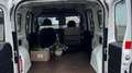 Fiat Doblo Maxi_1.4i_2400€ for export_Gearbox defect Wit - thumbnail 7