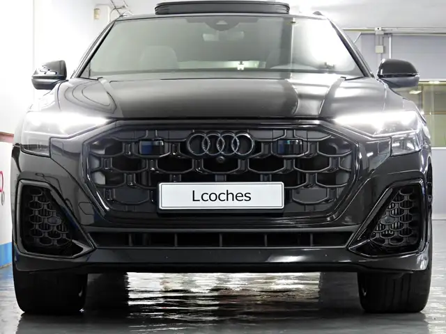 Audi Q8 view 6