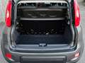 Fiat Panda Panda 1.0 firefly hybrid City Life s - thumbnail 13