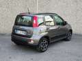 Fiat Panda Panda 1.0 firefly hybrid City Life s - thumbnail 5