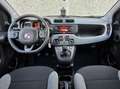 Fiat Panda Panda 1.0 firefly hybrid City Life s - thumbnail 10