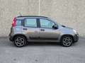 Fiat Panda Panda 1.0 firefly hybrid City Life s - thumbnail 4