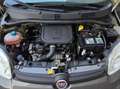 Fiat Panda Panda 1.0 firefly hybrid City Life s - thumbnail 14