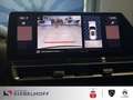 Citroen C5 Aircross Shine PureTech 130 EAT8 Weiß - thumbnail 18