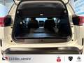 Citroen C5 Aircross Shine PureTech 130 EAT8 Weiß - thumbnail 8