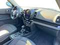 MINI Cooper SE Countryman Mini Countryman 1.5 Cooper SE all4 auto Vert - thumbnail 10