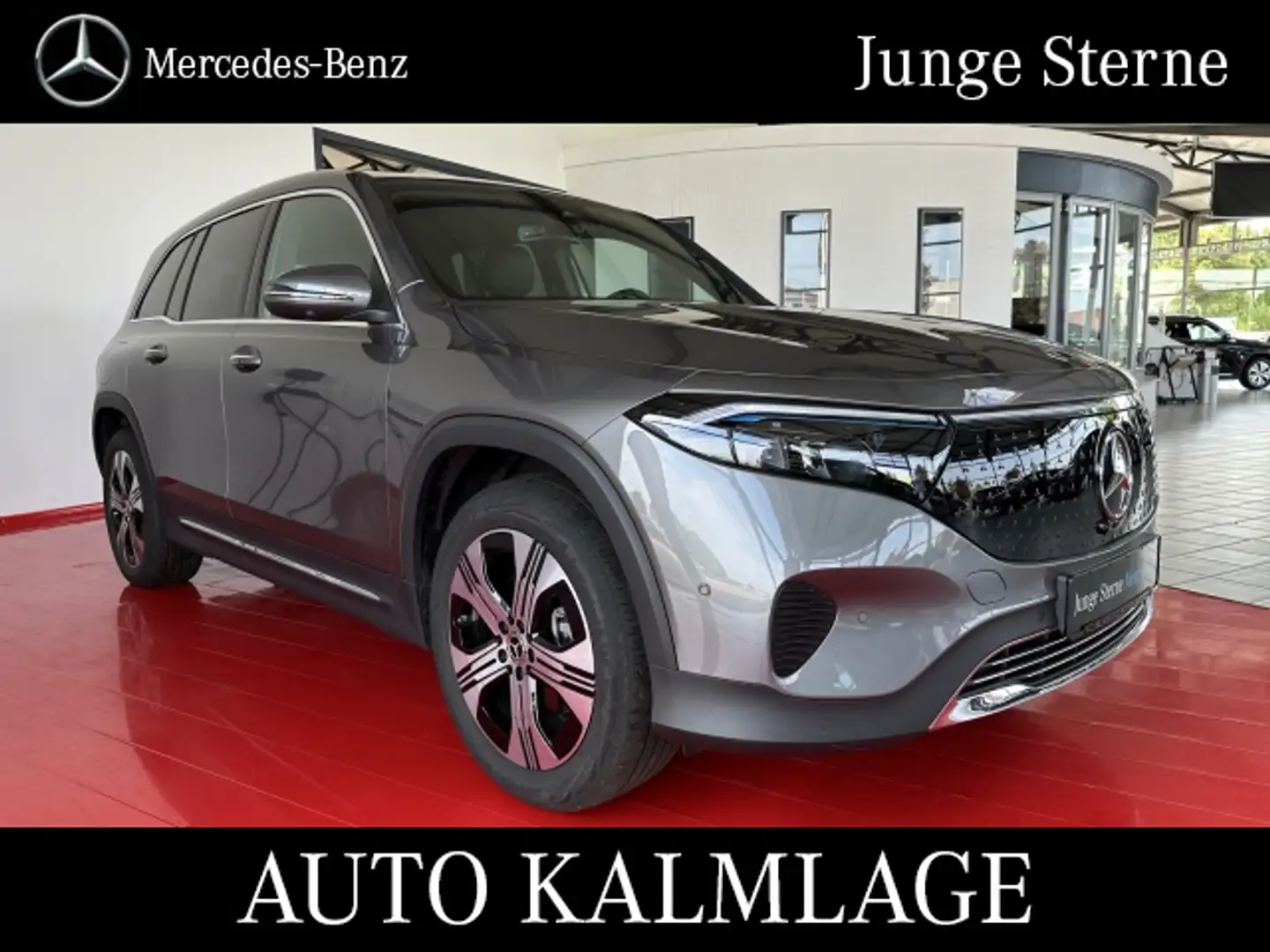 Mercedes-Benz EQB 350 EQB 350 4M Progressive AHK+DISTRONIC+360°KAMERA Gris - 1