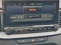 Kia ProCeed / pro_cee'd GT Aut. WhiteDeLuxe PANORAMA Weiß - thumbnail 24