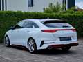 Kia ProCeed / pro_cee'd GT Aut. WhiteDeLuxe PANORAMA Weiß - thumbnail 8