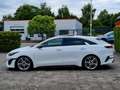 Kia ProCeed / pro_cee'd GT Aut. WhiteDeLuxe PANORAMA Weiß - thumbnail 6
