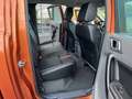 Ford Ranger 3.2 L TDCI 200 CV Wildtrack Boite Mécanique Goud - thumbnail 14