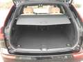 Volvo XC60 B4 Plus Bright | Sitzbelüftung | Panora. Schwarz - thumbnail 11
