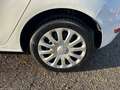 Ford Fiesta 1.5 TDCi 75 CV 5p. Titanium - thumbnail 6